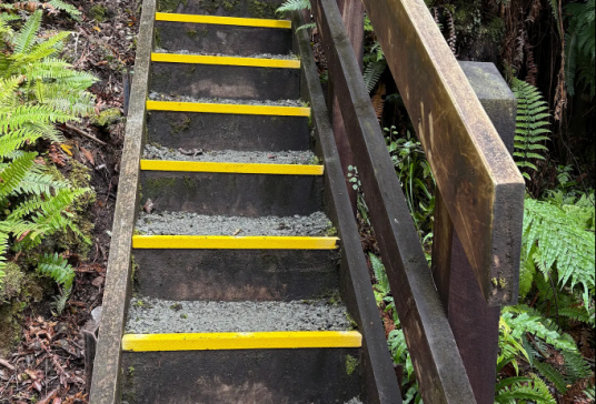 FEBRUARY 2026 - MFRP Stair Nosings fitted to Tuatapere Humpridge Track, Southland